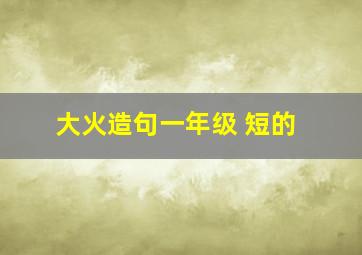 大火造句一年级 短的